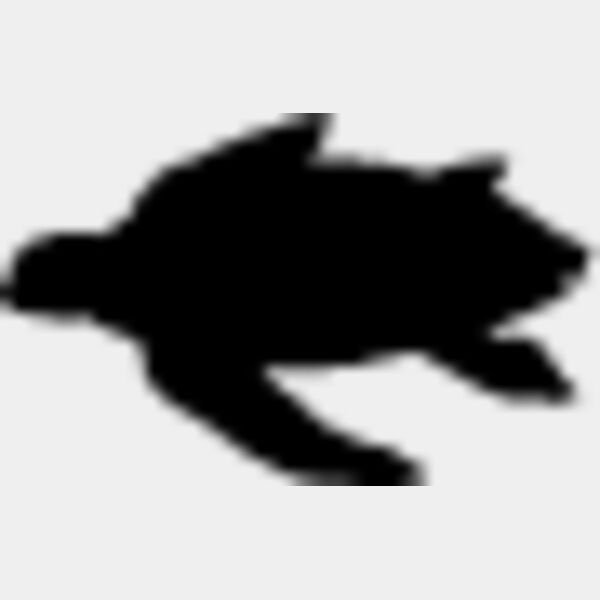 Sea Turtle3 Thumbnail