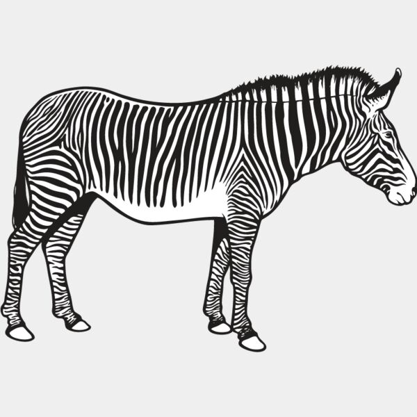 Zebra1 Thumbnail