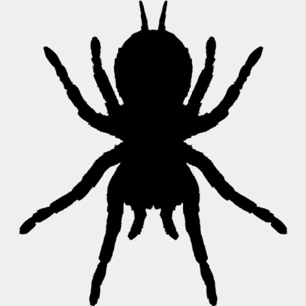 Spider Silhouette14 Thumbnail