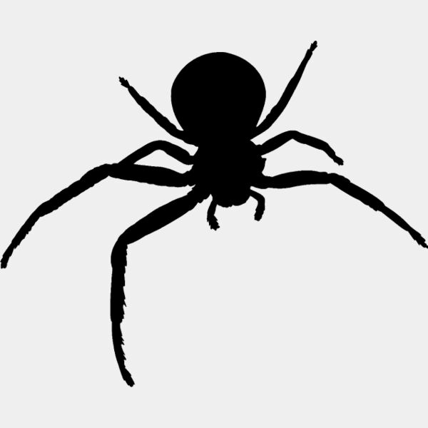 Spider Silhouette9 Thumbnail