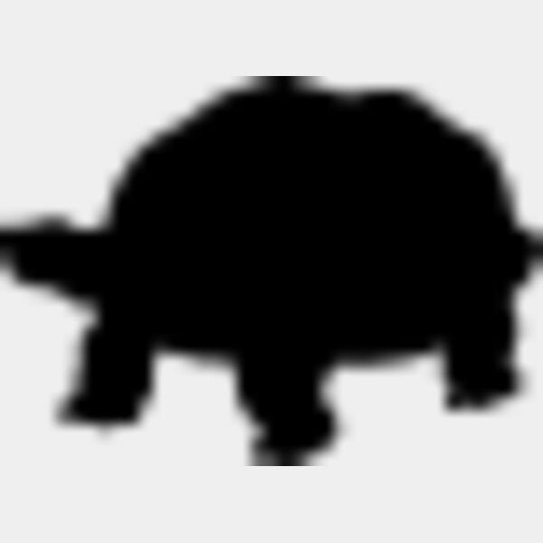 Tortoise1 Thumbnail