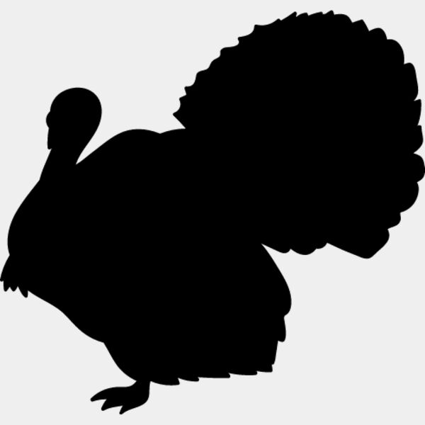 Wild Turkey6 Thumbnail