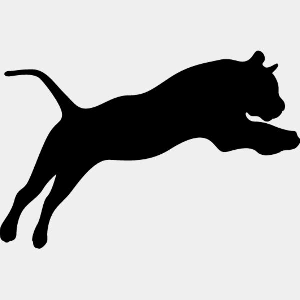 Big Cat  Tiger  Lion  Panther 6 Thumbnail