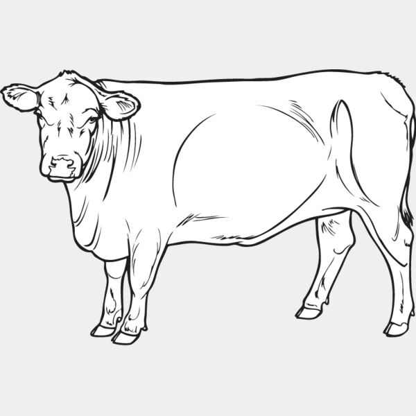 Cow3 Thumbnail