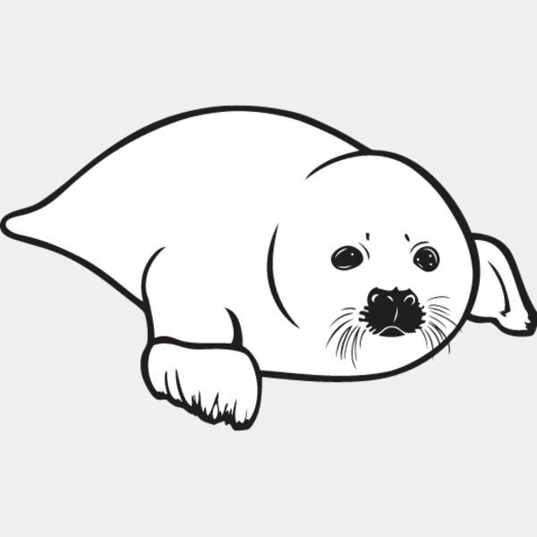 Baby Seal2 Thumbnail
