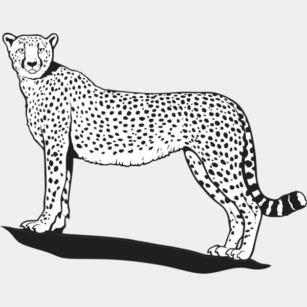 Cheetah1 Thumbnail