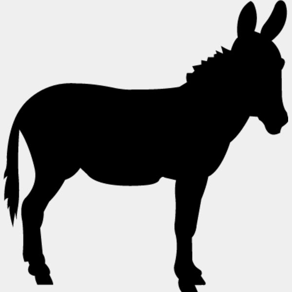 Donkey Thumbnail