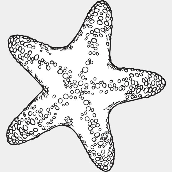 Starfish2 Thumbnail