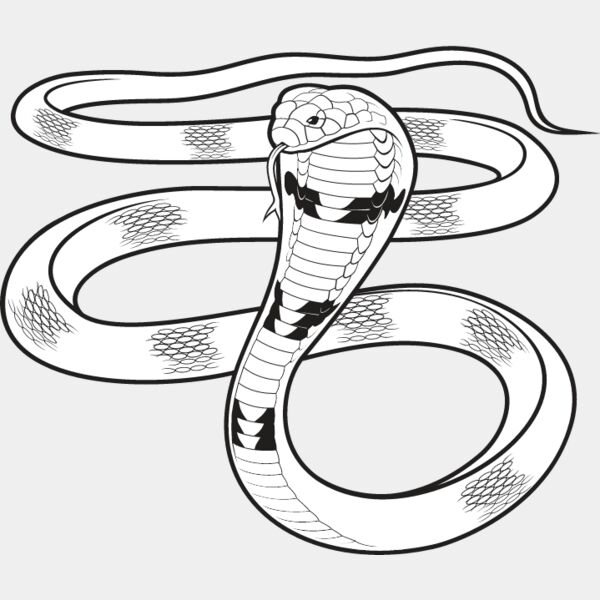 Cobra Snake Thumbnail