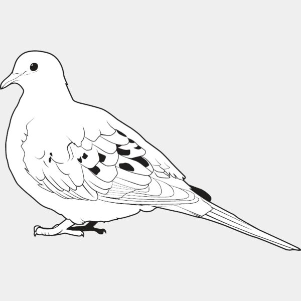 Dove Thumbnail