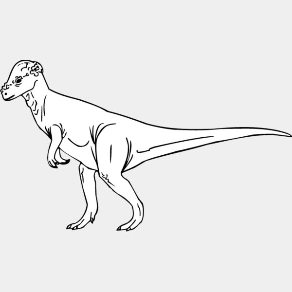 Pachycephalosaurus Thumbnail