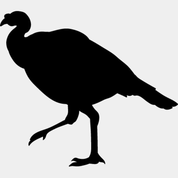 Wild Turkey3 Thumbnail