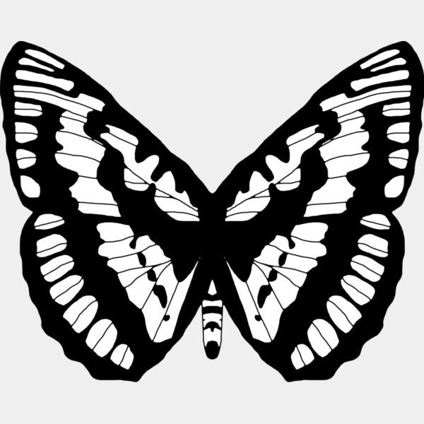 Butterfly1 Thumbnail