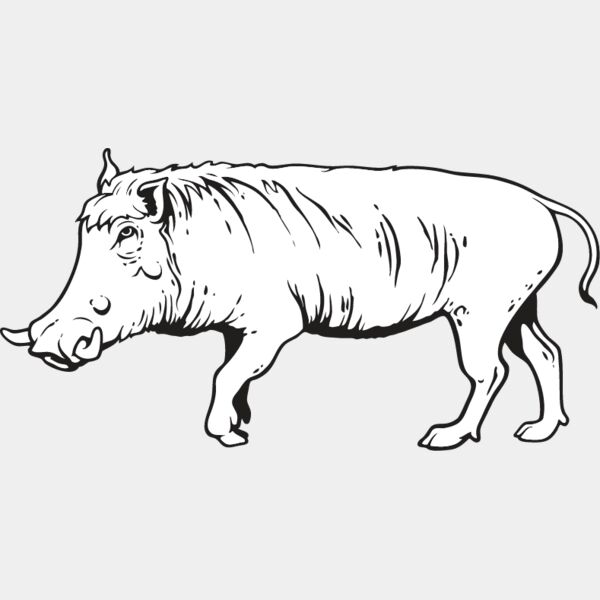 Wild Boar1 Thumbnail