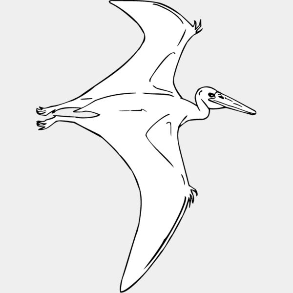 Pteradactyl1 Thumbnail