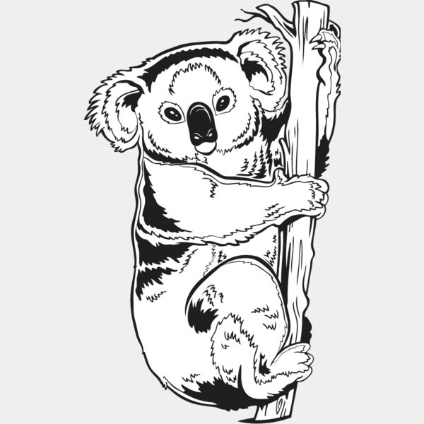 Koala Bear Thumbnail