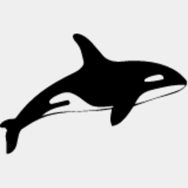 Killer Whale4 Thumbnail