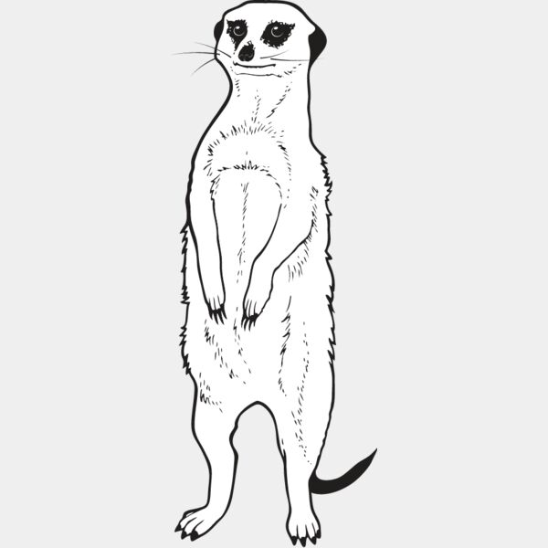 Meerkat Thumbnail