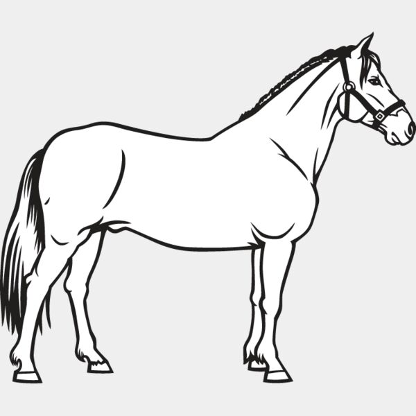Horse10 Thumbnail