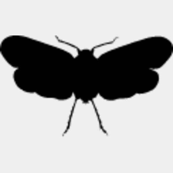 Flying Insect5 Thumbnail