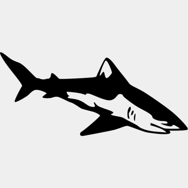 Shark1 Thumbnail