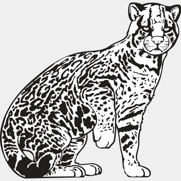 Ocelot Thumbnail