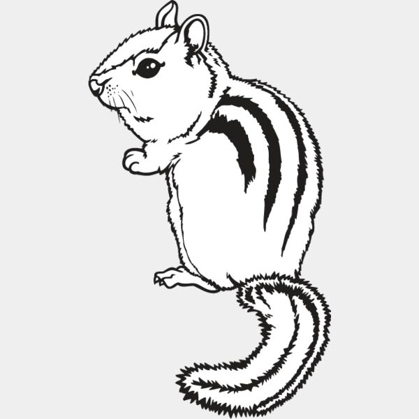 Chipmunk Thumbnail