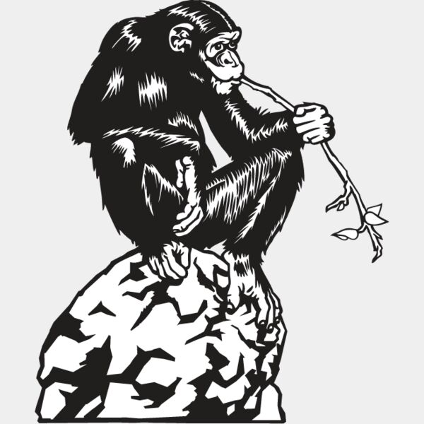 Chimpanzee Thumbnail