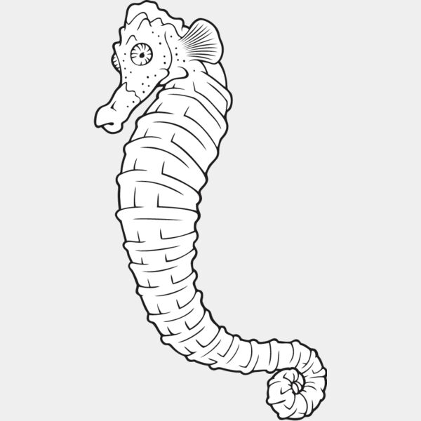 Seahorse5 Thumbnail