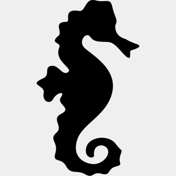 Seahorse6 Thumbnail