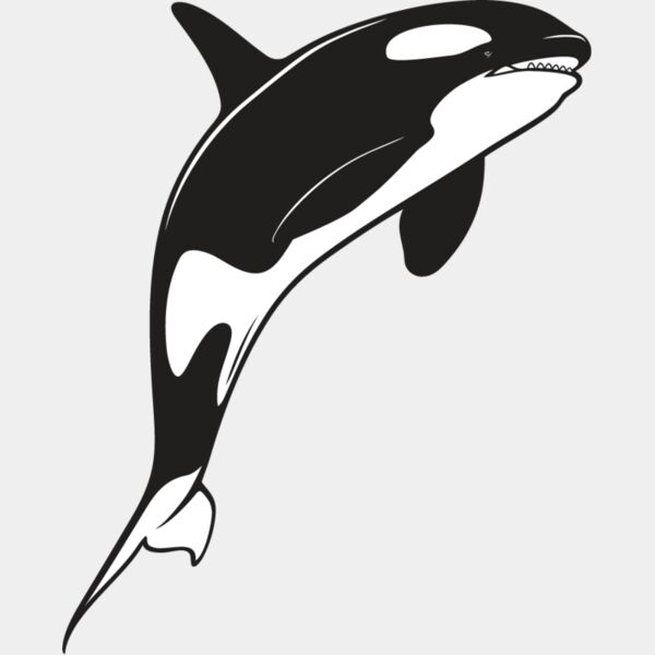 Killer Whale5 Thumbnail