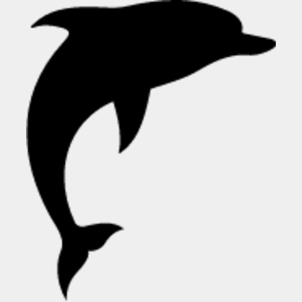 Dolphin8 Thumbnail