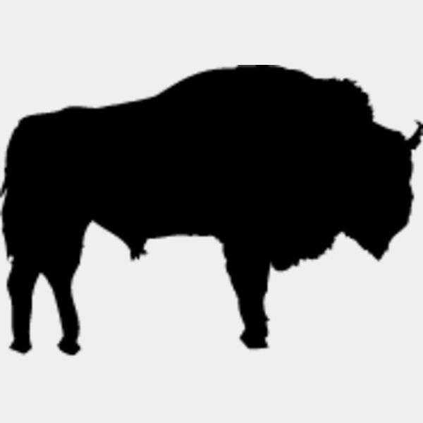 Buffalo1 Thumbnail