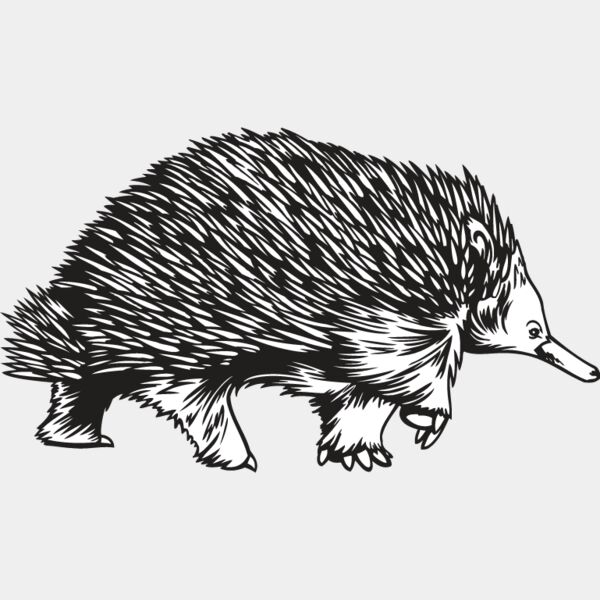 Porcupine1 Thumbnail