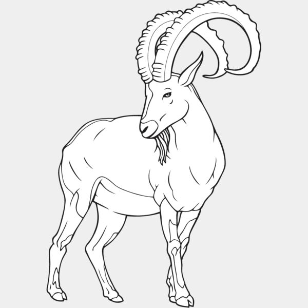 Ibex Thumbnail