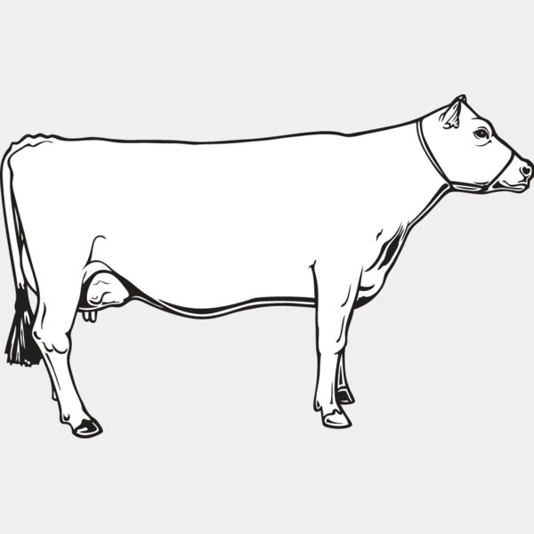 Cow7 Thumbnail