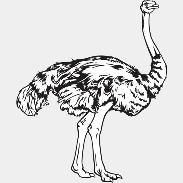 Ostrich Thumbnail