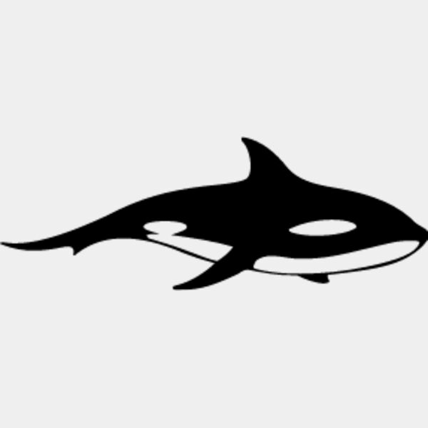 Killer Whale2 Thumbnail