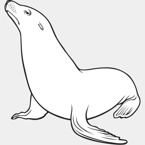 Sea Lion Thumbnail