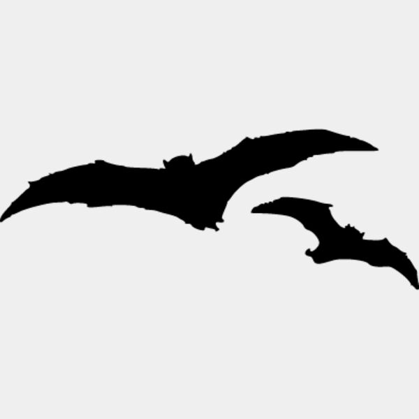 Bats1 Thumbnail