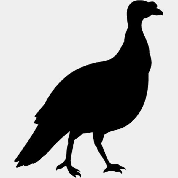 Wild Turkey2 Thumbnail