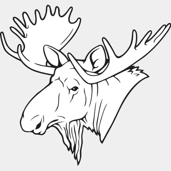Moose1 Thumbnail
