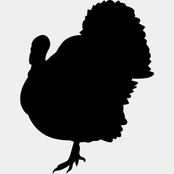 Wild Turkey5 Thumbnail