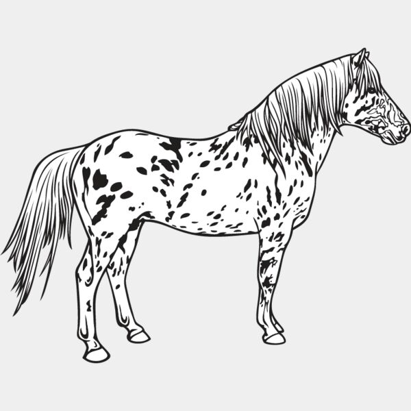 Horse6 Thumbnail