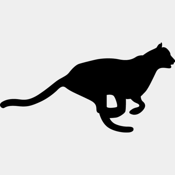 Big Cat  Tiger  Lion  Panther 23 Thumbnail