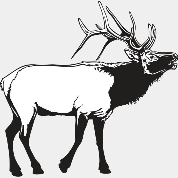Elk2 Thumbnail