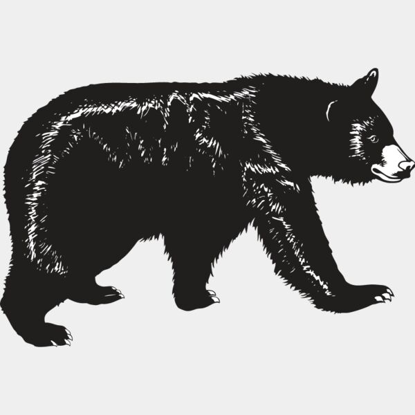 Black Bear Thumbnail