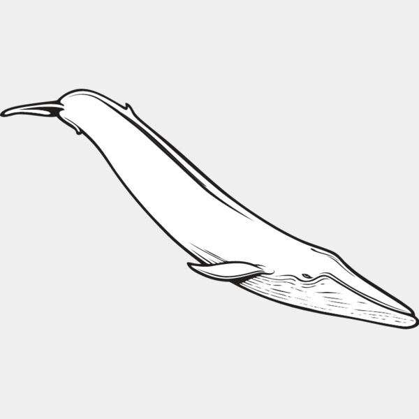 Blue Whale1 Thumbnail