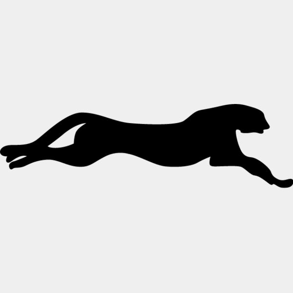 Big Cat  Tiger  Lion  Panther 24 Thumbnail