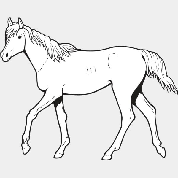 Horse7 Thumbnail